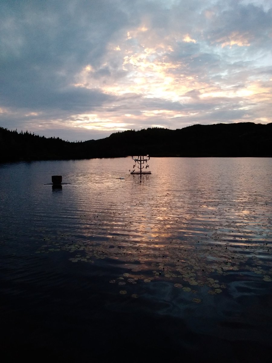 KKellyNF's tweet photo. Sunset views last night from Smugglers Cove in Burin. #explorenl @LegendaryCoasts @EddieSheerr #yourbackyardbeckons https://t.co/dYTydOuP3E