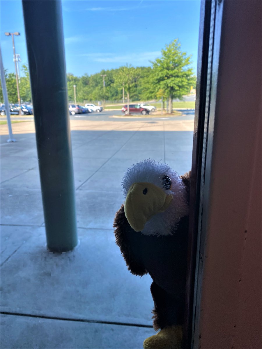 We spot an Eagle eager to return to school!  Families, log on to our school website freedomhs.pwcs.edu . We are preparing for the first day back to school and look forward to our students return!