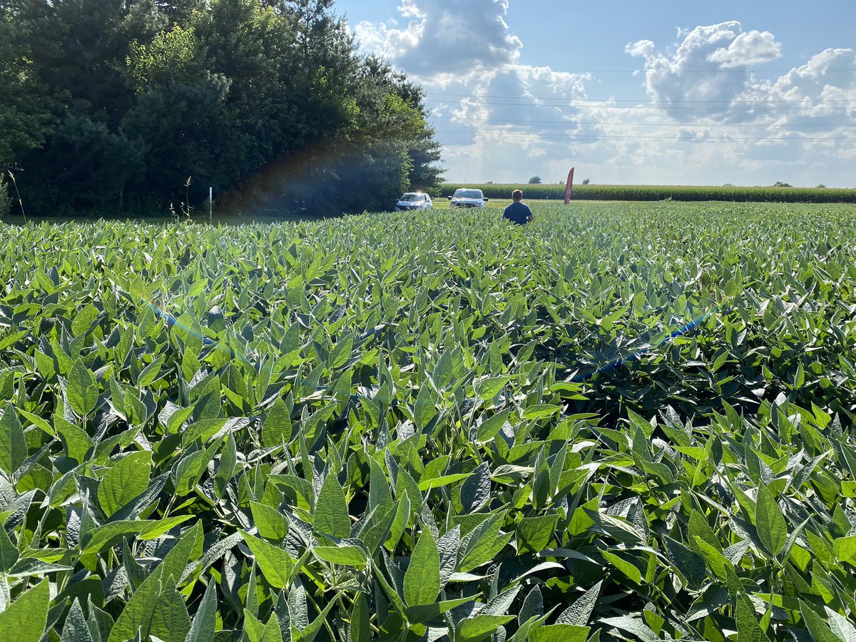 BumperCrop1's tweet photo. ¡Feliz Día del Agrónomo y del Veterinario a todos los profesionales que dedican su vida, muchas veces lejos de sus hogares y de sus familias, a hacer de éste un país y un mundo donde no falten alimentos y cada vez se viva más y mejor.
¡Y un saludo especial a los estudiantes! https://t.co/fPYIoXmOHh