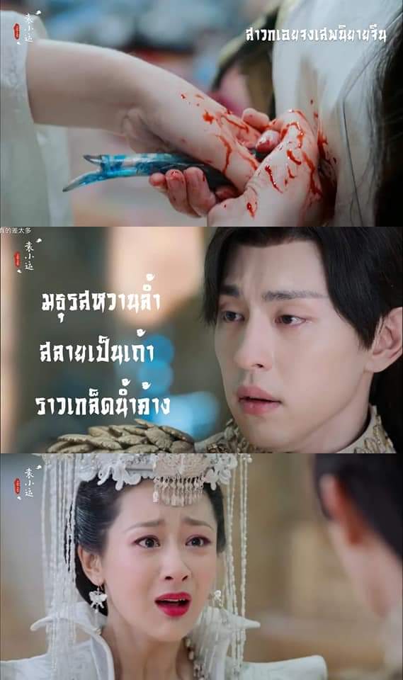 CatSlave_Addict's tweet photo. สาวมือโปรแห่งการแทงพระเอกมาแล้ว!!
#หยางจื่อ ผู้แทงพระเอกของตัวเองมานักต่อนัก!
อย่าให้เธอถือของมีคมเด็ดขาด!!
1. #ลิขิตรักนางพญางูขาว
ดูได้ทาง Monomax
2. #มธุรสหวานล้ำสลายเป็นเถ้าราวเกล็ดน้ำค้าง
ดูได้ฟรีทาง WeTV
3. #อวลกลิ่นละอองรัก
(ยังถ่ายทำไม่เสร็จ) https://t.co/OW2Ubj77dW