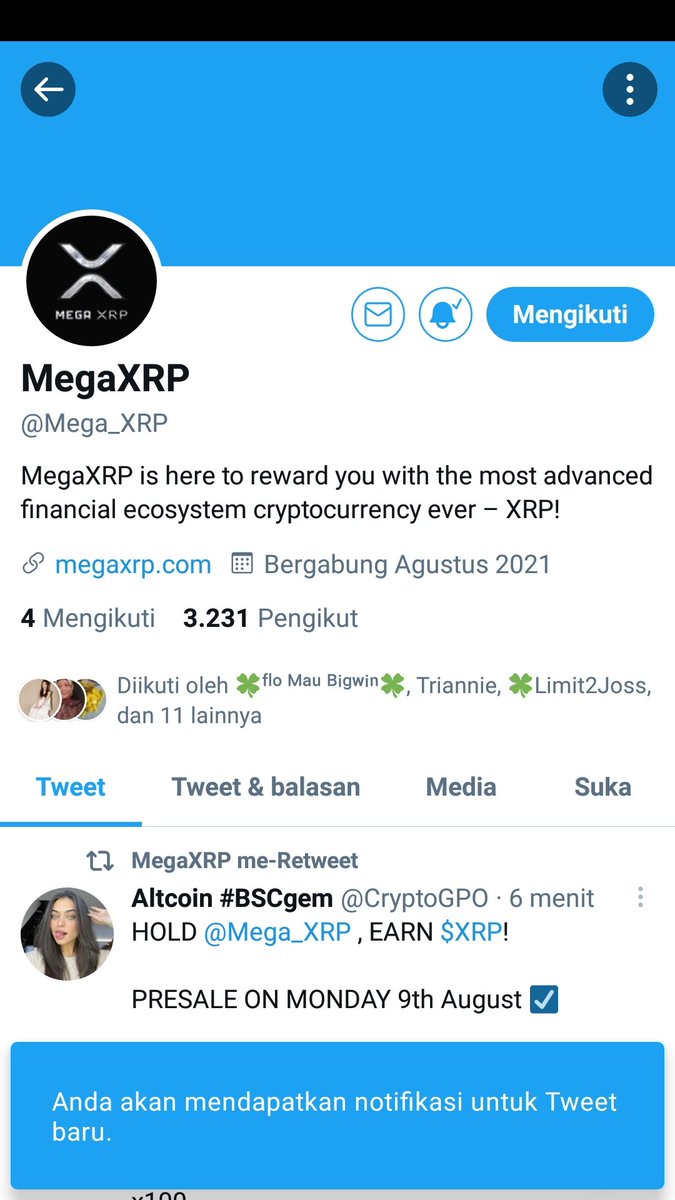 ainimoekti tweet media