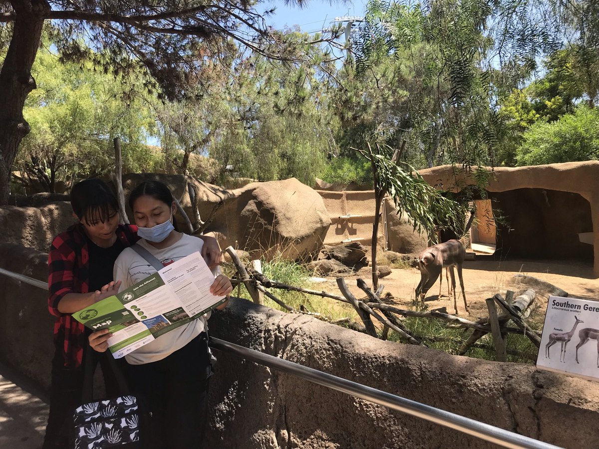 MaestraRodrigu4's tweet photo. Yesterday our lobos had a great time learning about local conservation efforts. Thank you @sandiegozoo for hosting us! https://t.co/2bRsvwVl3R