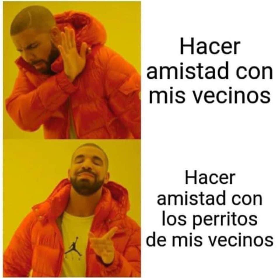 perritos_qctd's tweet photo. https://t.co/gfqSOk3E46