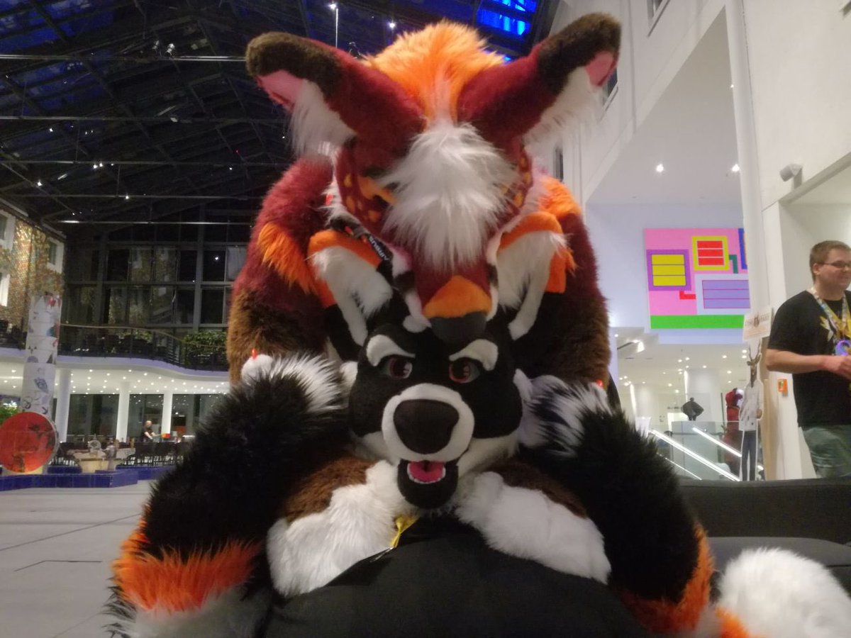 RaighoHusky's tweet image. Gotta watch out for those Moroccan foxes sneaking by up on you for a flashback #FursuitFriday !

🦊 @DanzigFops by @MadeFurYou 
🐺 @RaighoHusky by @TheKarelia 
🌎 #EF25