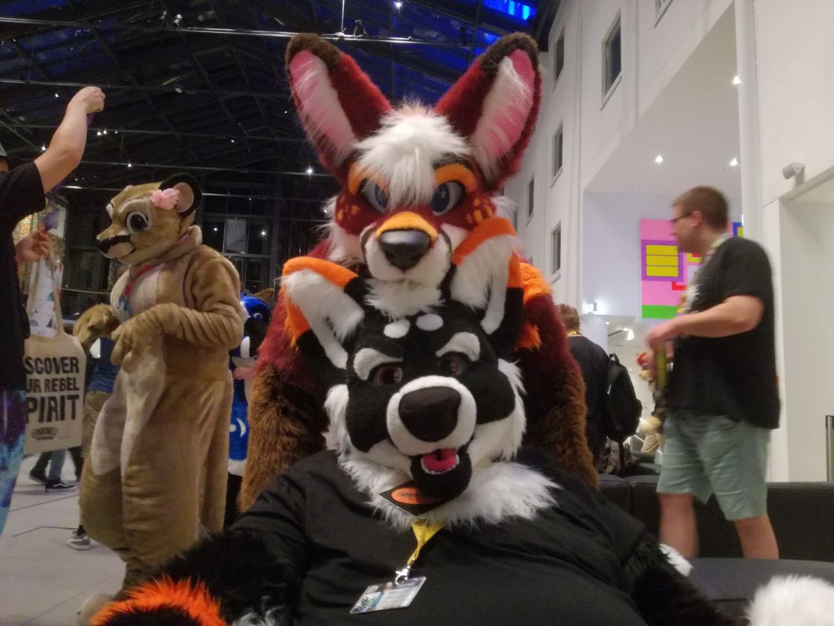 RaighoHusky's tweet image. Gotta watch out for those Moroccan foxes sneaking by up on you for a flashback #FursuitFriday !

🦊 @DanzigFops by @MadeFurYou 
🐺 @RaighoHusky by @TheKarelia 
🌎 #EF25