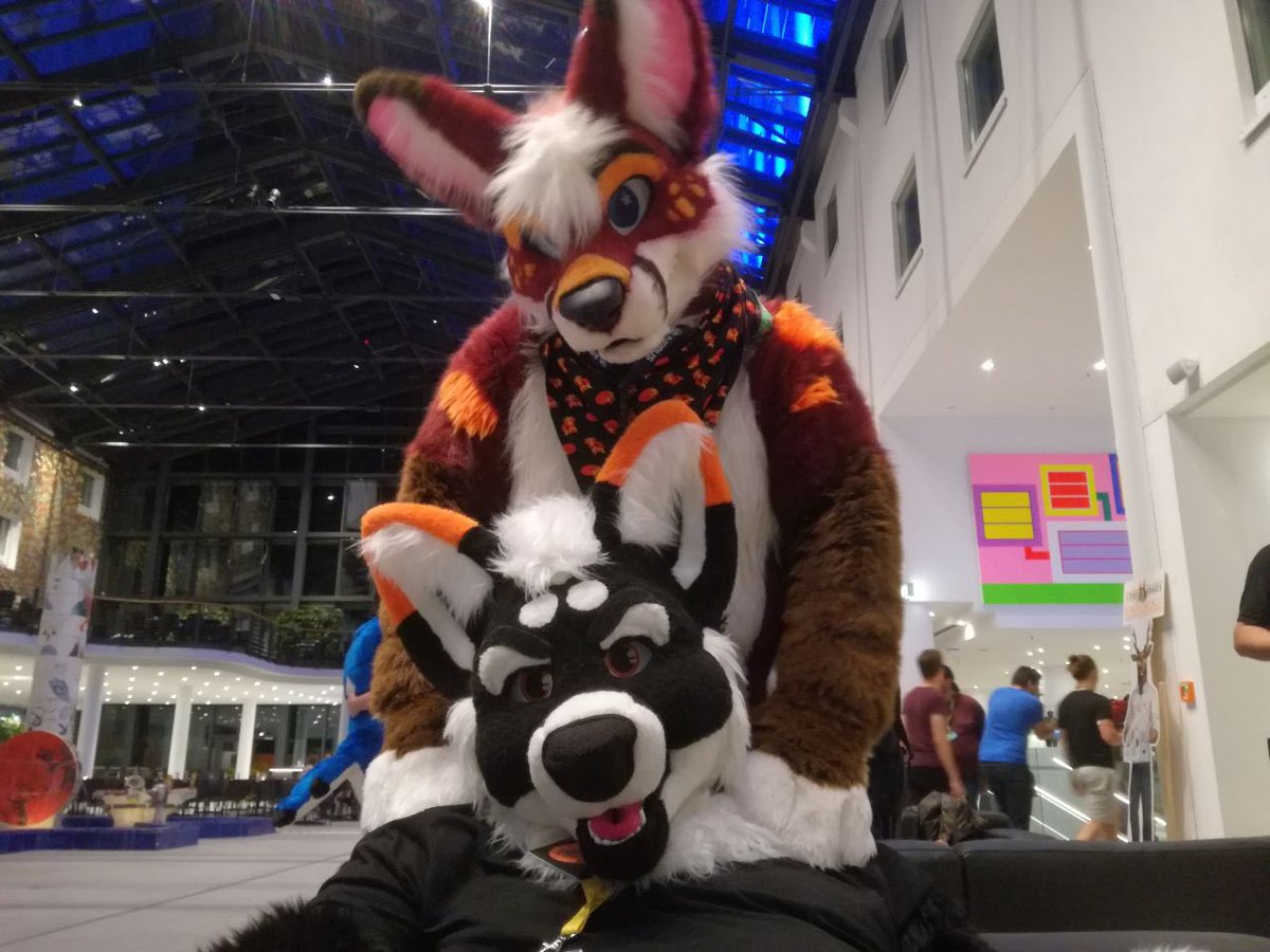 RaighoHusky's tweet image. Gotta watch out for those Moroccan foxes sneaking by up on you for a flashback #FursuitFriday !

🦊 @DanzigFops by @MadeFurYou 
🐺 @RaighoHusky by @TheKarelia 
🌎 #EF25