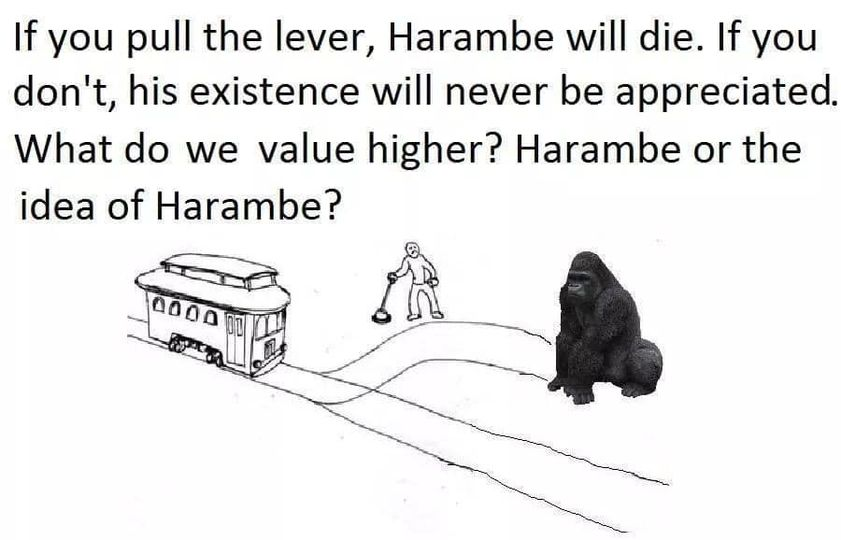 UncannyTreks's tweet photo. h/t #Trolleyproblems Memes
#Harambe https://t.co/WNExTWEklU