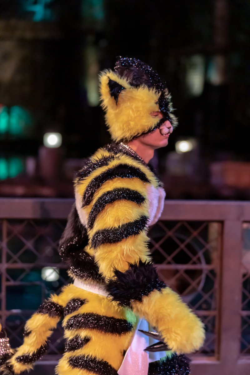 Dai En Twitter Usj ワンピース プレミア サマー21 プレショ 21年8月6日 金 アベヤスくん タイガーマン なんぺーさん ラママン ラママンのお顔はなんペーさんなんだが なんペーさん要素ゼロで ただひたすらに笑いを取ってたので わかりません