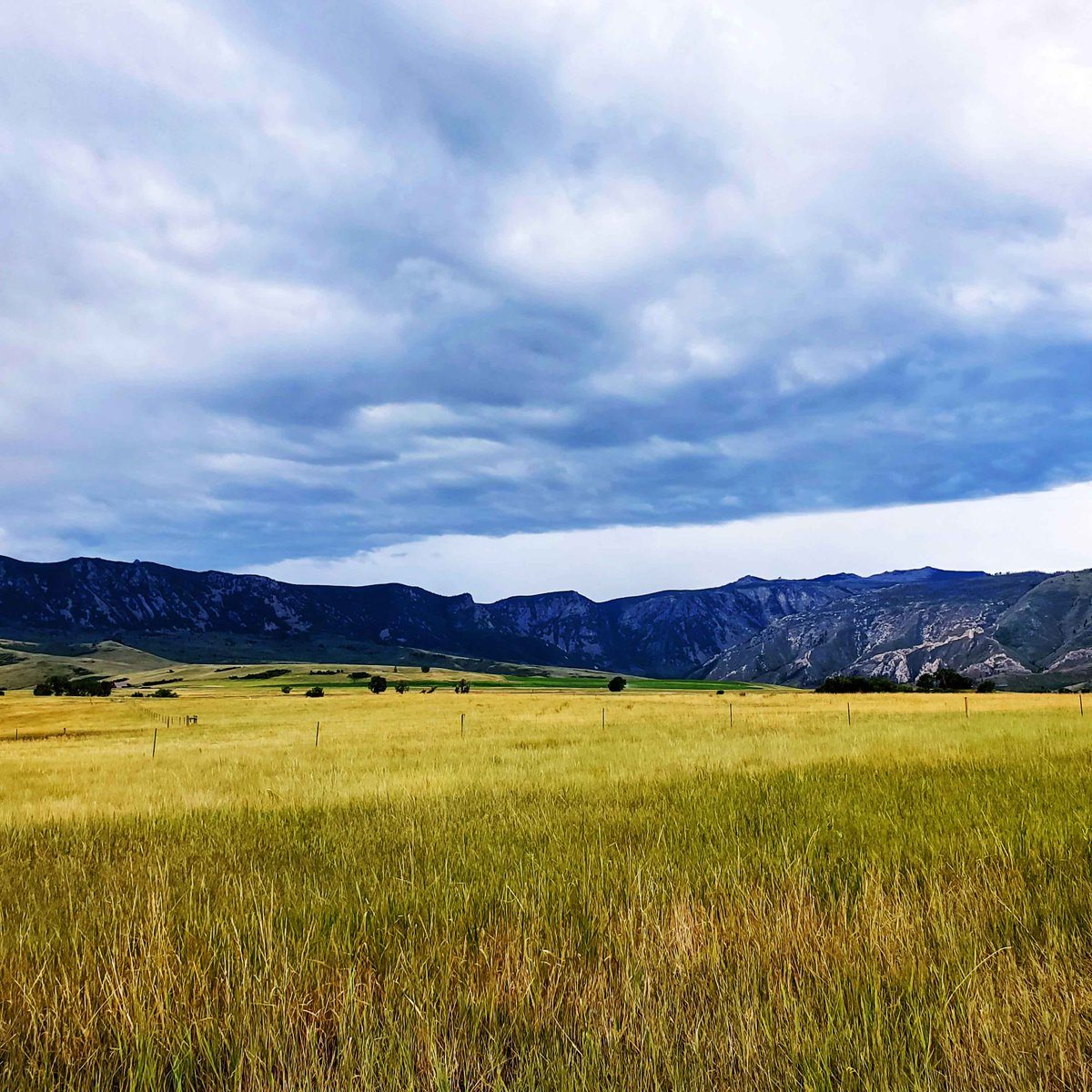 Clear air and cloudy skies! Come on out and enjoy the view.

#nosmoke #chanceofrain #clearskies #bighornmountains