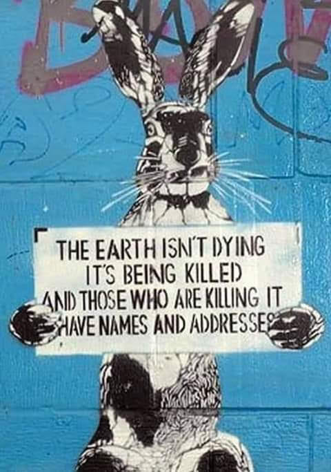 AmericanIndian8's tweet photo. #INDIGENOUS #TAIRP https://t.co/UFEjCH7TDO
