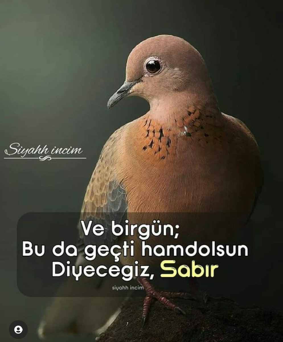 SnRTE AFTalebimizi Duyun
<a href="/RTErdogan/">Recep Tayyip Erdoğan</a>