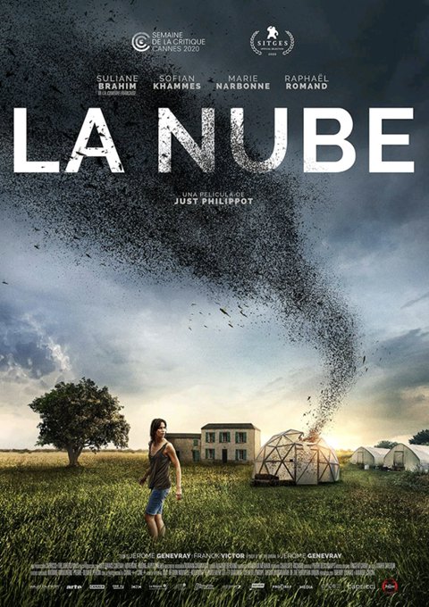 感想評価 Netflix映画群がり 感想 殺人イナゴの暴走 菊飛movie