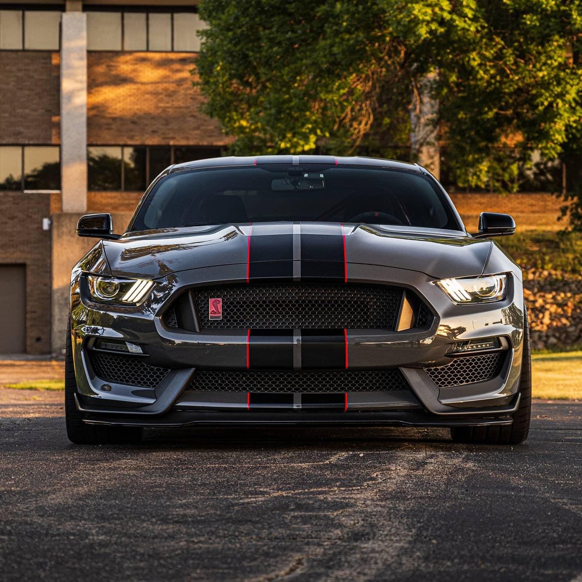 CarManToday's tweet photo. Best. Looking. Mustang. Iteration. Ever.
📸: @timbrophoto
#eddiex #Ford #fordperformance #shelbygt350 #gt350 #gt350R #shelbygt350r #mustang #savethemanuals #signaturewheel #andersoncomposites https://t.co/O3BRWV4OTV