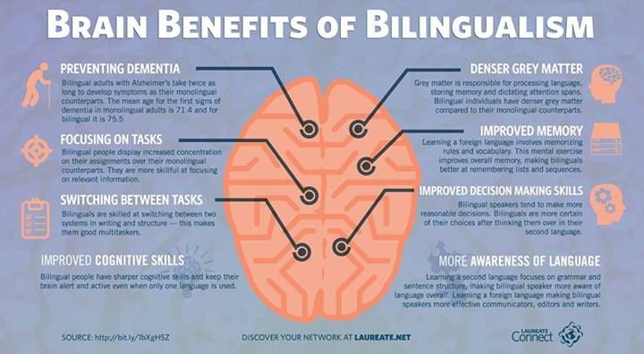 TCEA's tweet photo. Tons of benefits of #bilingualism! Learn how you can support bilingual students with #reading and #writing.

 https://t.co/OQjLB9LXG2 @mguhlin 
#ell #learning #engchat #educoach #edchat https://t.co/YLi5CzN8zb
