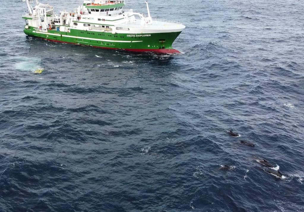 DamienMcCallig's tweet photo. Pilot Whales, Holland 1 ROV and #RVCelticExplorer @RVMarineInst https://t.co/5WL6GPqjNN
