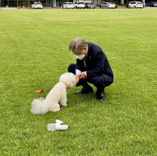 <오늘 저녁 퇴근길에 경기도청 잔디광장에 마실 나온 이웃 강아지들을 만났습니다. 아이들의 즐거운 모습을 보니 저도 덩달아 기분이 좋아지네요^^>