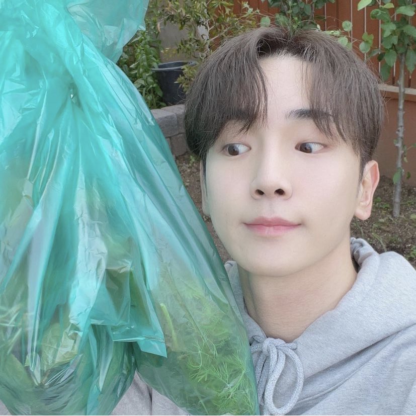 cynophiolle's tweet photo. ㅤ
ㅤ
Usai menanam dan menyiramnya, Davion beralih mengambil kantung plastik kecil untuk melanjutkan kegiatan lainnya, yaitu memetik sayuran. 
ㅤ
ㅤ https://t.co/7znh0NYp2w