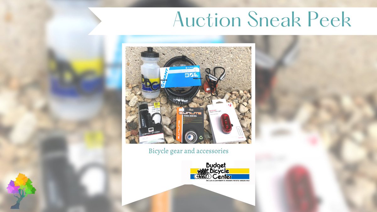 CanopyCenter's tweet photo. Our annual event, Stand Up and Sing for Kids, is taking place on September 14 and we have great items for our auction! Check out this sneak peek for just some of the great items that will be featured at our event. (Tag businesses) #canopycenter https://t.co/UJHy3HdUsk