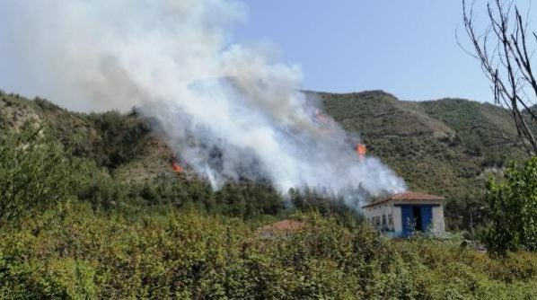 kumfilozofu's tweet photo. Nolur yardım edin. Karadeniz’in en çok orman varlığı olan yer. Şehirin yüzölçümü küçük. Lütfen yardım edin lütfenn.🙏🏻😢
#karabükyanıyor https://t.co/8CQT9kbDPh