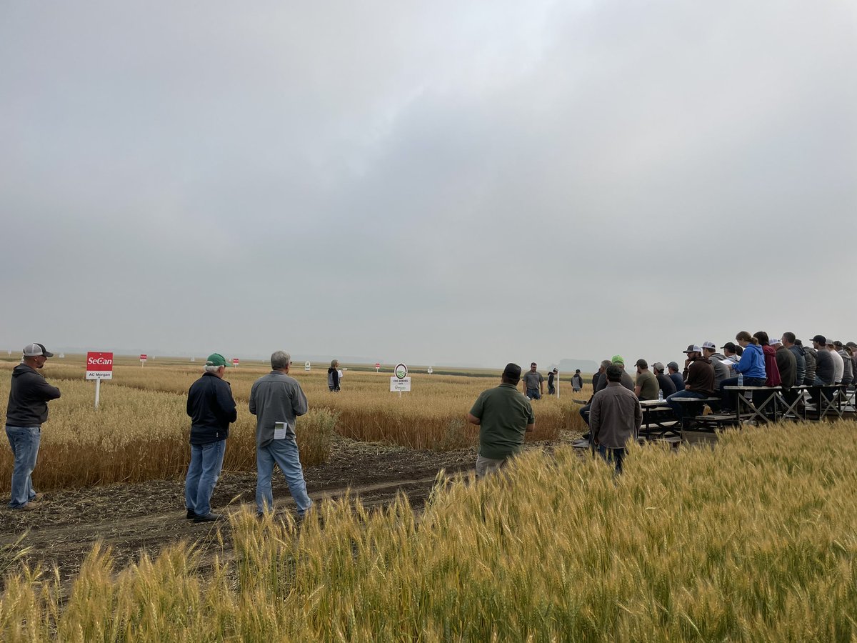 Lauren Wensley🌾 tweet media