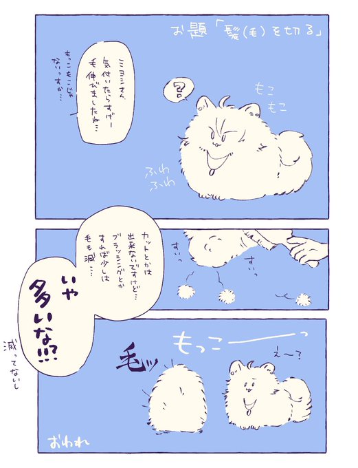 綴一ワンドロ参加しようと思ったら髪じゃないし切ってないしそもそもポメだしでよく分かんなくなってきたので諦めました
サマーカットしましょう、という話です(?) 