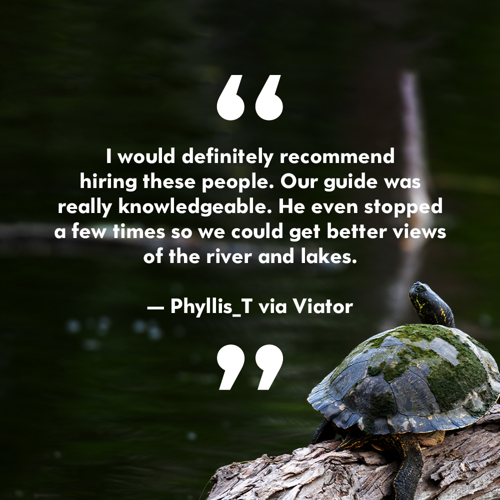 AOToursAustin's tweet photo. 🐢 It's Friday! Time for us to get busy and for you to relax! Phyllis loved her experience on the Austin + Hill Country 2.5 hour tour with stops this week. 

Book you seat now: 
https://t.co/jEhalS1amr

#FanFriday #Reviews #HappyCustomers #AustinTours #Tours #WeekendVibes https://t.co/kMA8xFdbxj