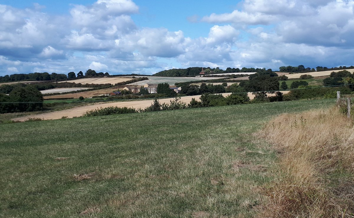 newhallfarm's tweet image. I would urge @DefraNature to concider a #hedges2hectares ratio in its payment schemes. 20km of hedge across 200Ha earns exactly the same as 20km across 2000Ha, yet provides much greater biodiversity gain (1:10 v 1:100) yet small fields = far greater costs. RT to agree!