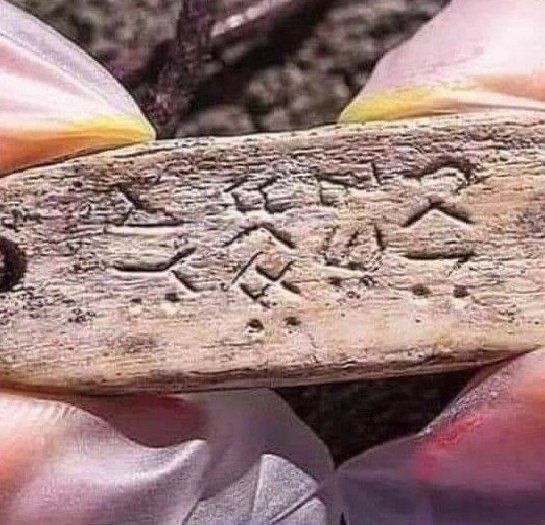 Yakutistan'da bulunan Mamut kemiğinden yapılmış 1000 yıllık Türk takısı üzerinde yazan yazı ;

 "Kurdu Çakala Boğdurma"