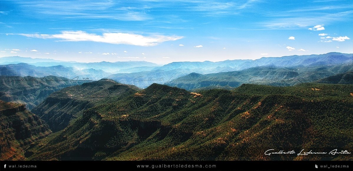 wal_ledezma's tweet photo. En la vida, hay cosas que no regresan, las palabras, el tiempo y las oportunidades.

Sierra de Durango,  México. https://t.co/9IJuvbvxkg