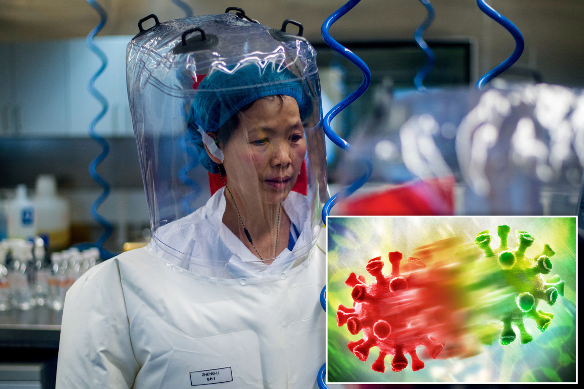 nypost's tweet photo. Wuhan's 'bat woman' virologist warns more COVID mutations are coming https://t.co/m8sNvtcR8w https://t.co/F3p6NCJXoo