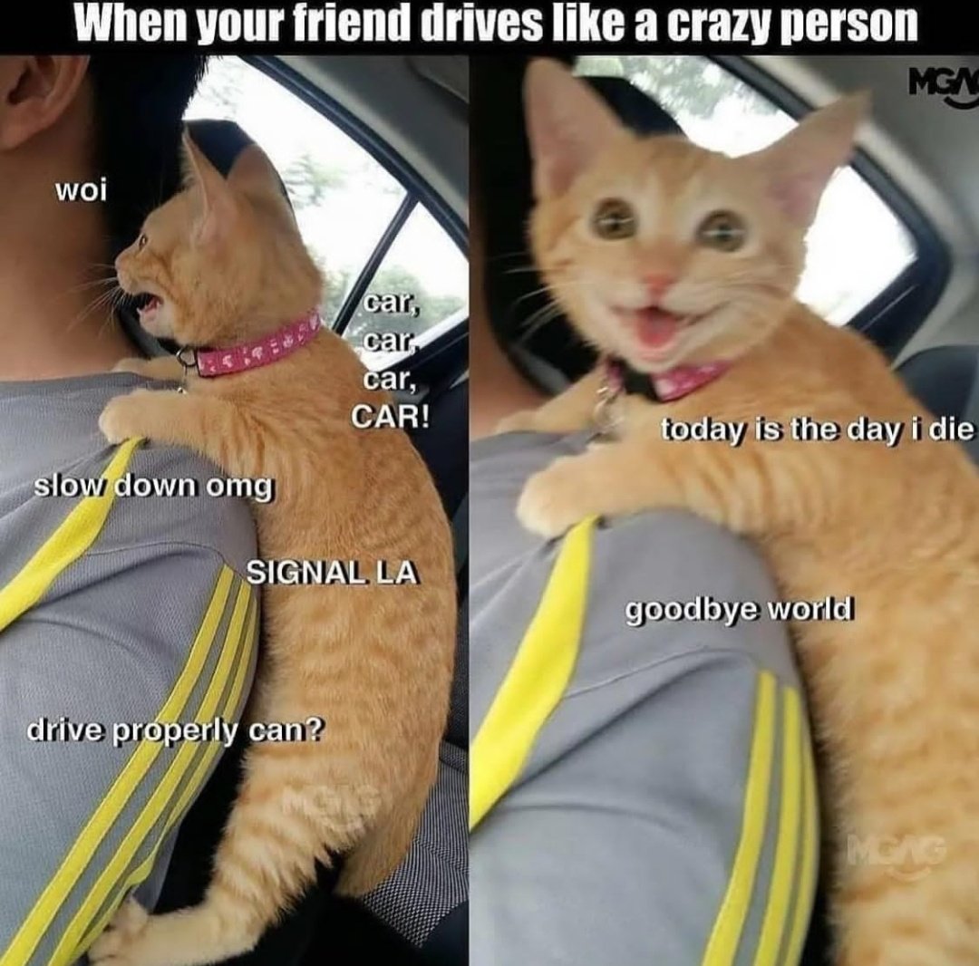 Pluvify's tweet image. 