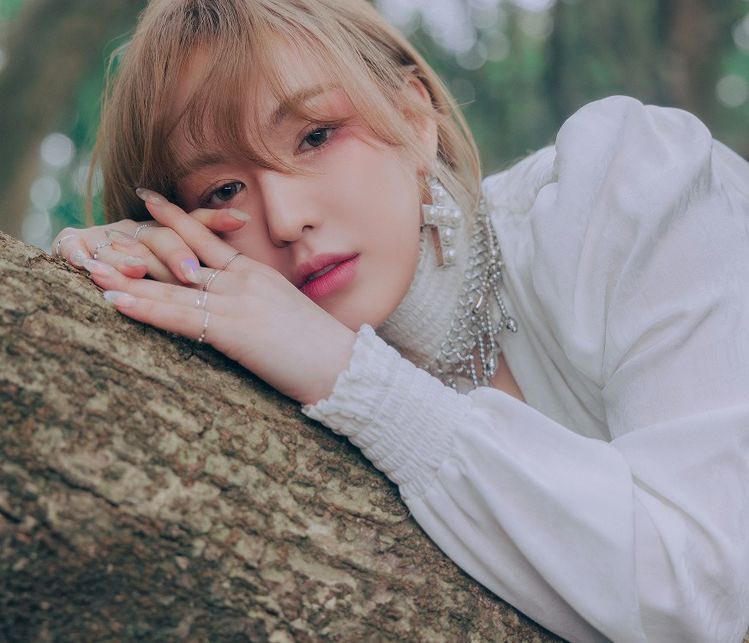 siblings_kim's tweet image. Went for a walk in the woods and took these beautiful pictures #GWModels