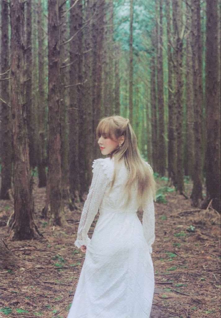 siblings_kim's tweet image. Went for a walk in the woods and took these beautiful pictures #GWModels