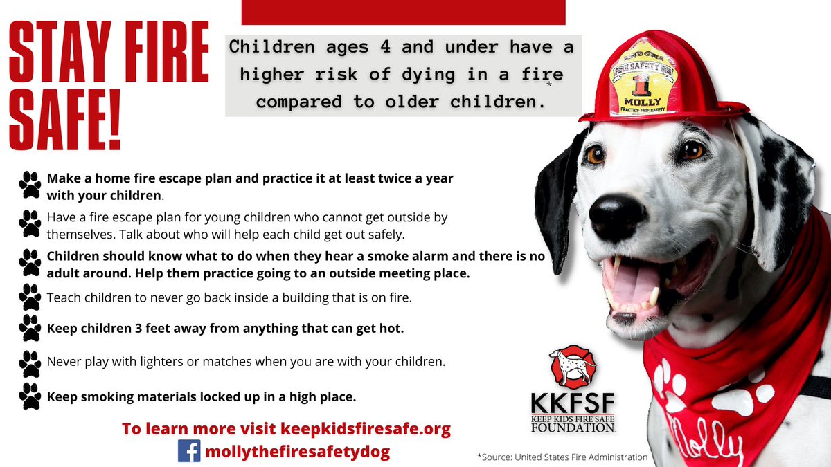 firesafetydogs's tweet photo. Do you have a working smoke alarm and an escape plan? Here are some fire safety tips to help keep you and your family safe. ❤️#firesafety #keepkidsfiresafefoundation #firesafetydogs @usfire #workingdog #Dalmatian #firesafetydog https://t.co/Dy0QeaDowZ