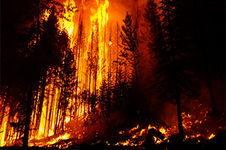 PNASNews's tweet photo. Why have forest fires been advancing upslope across the western United States in recent decades? This week on the #sciencesessions podcast with Mohammad Reza Alizadeh, John T. Abatzoglou, and Mojtaba Sadegh. https://t.co/ecnwlqzkyT https://t.co/banIBPDUQ6