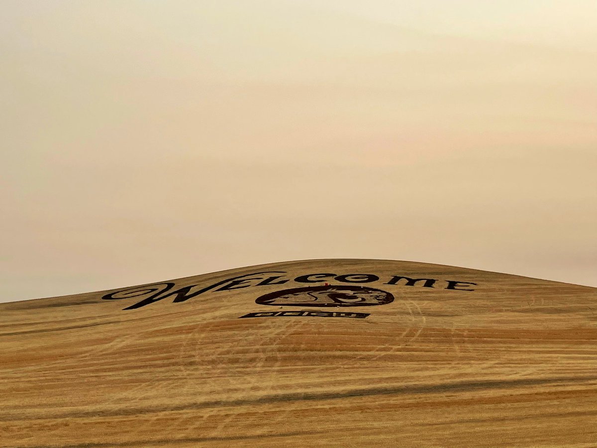 Theo Lawson tweet media