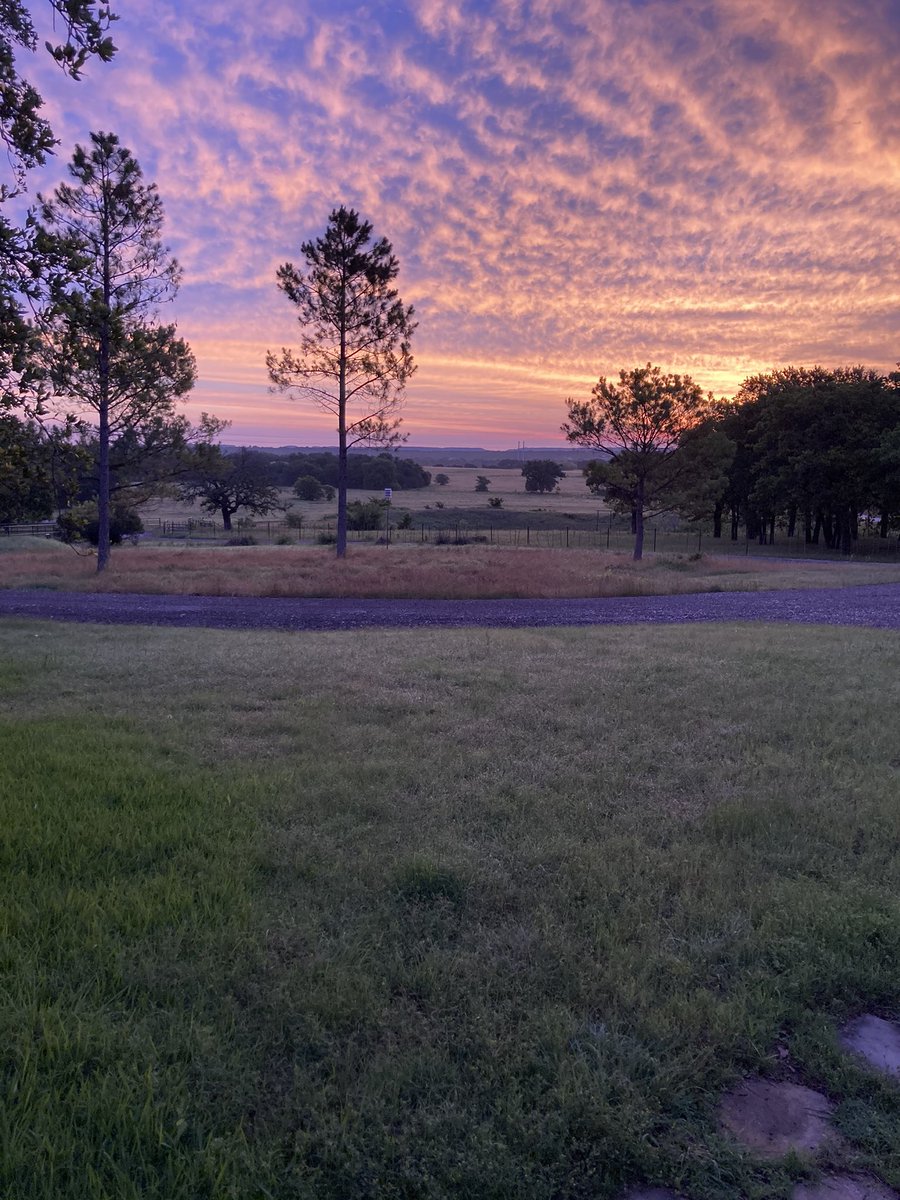 Joanne Fuchs tweet media