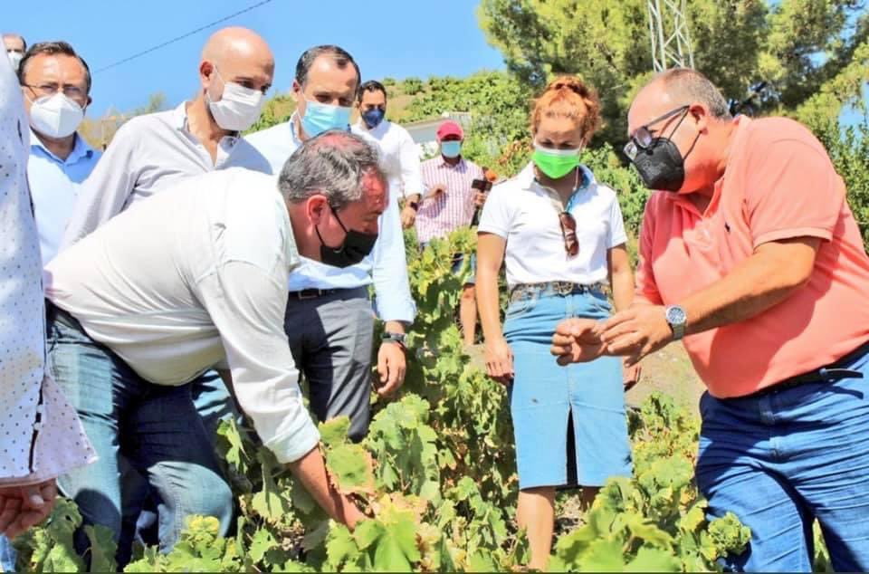 ▶️ Acompañando a Juan Espadas en su visita a la #Axarquía, junto al alcalde de #ElBorge, Raúl Vallejo y Antonio Yuste, alcalde de #Almáchar.
👂 La escucha activa y el acercamiento al terreno es el camino hacia una política útil para la ciudadanía.