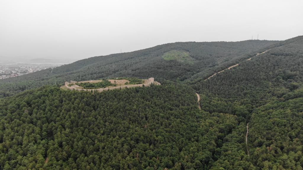 tcsultanbeyli's tweet photo. Kaymakamlığımız koordinesinde ormanlarımızda havadan ve karadan denetimlerimiz aralıks��z olarak devam ediyor.

Desteklerinden dolayı İstanbul Valimiz Sayın @AliYerlikaya ve Belediye Başkanımız Sayın @Keskin_Huseyin'e teşekkür ederiz. https://t.co/5eRM5JhYNM
