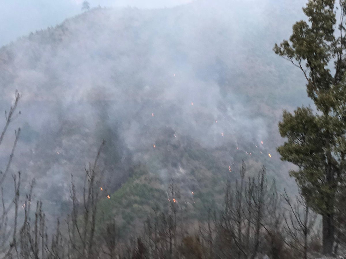 atakoop's tweet image. Kurucularımızdan Arzu ve türeticilerimizden Merve, gönüllü ekiplerle birlikte yangın söndürme çalışmalarında.
Doğayı, canlıları, dünyamızı birlikte kurtarıp, geleceğimizi yeniden inşa edeceğiz🌳 Her bir canlının yaşam hakkını hiç yorulmadan savunacağız.
Dayanışma yaşatır✌🏽