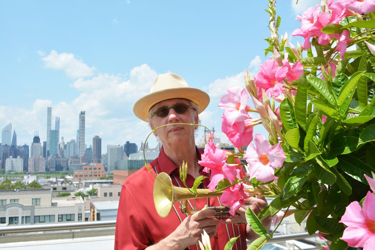 Verrrry interesting....trumpet flowers? In the heart of NYC?

Happy Bandcamp Friday! All proceeds from sales today go directly to the artists. timhagans.bandcamp.com/album/a-conver…  My new CD "A Conversation" w @NDRBigband is available in digital or physical form. R wild 8th notes emanating?