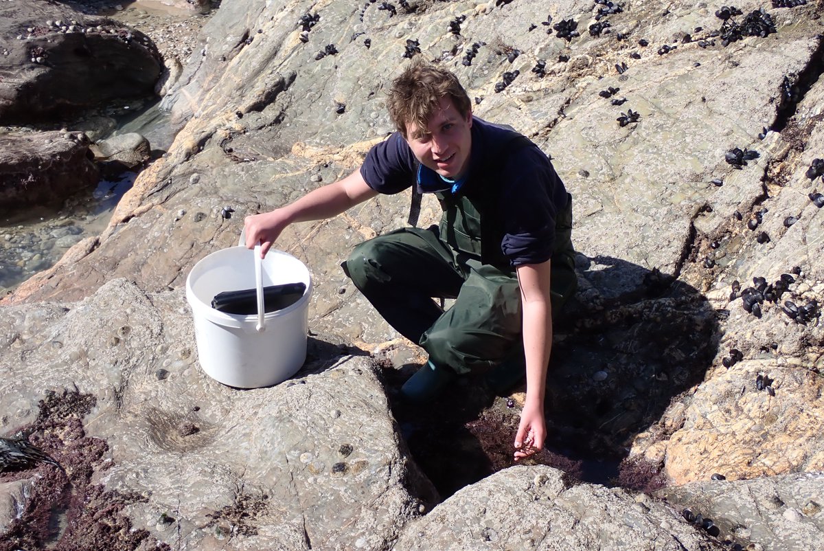 Matt Slater tweet media