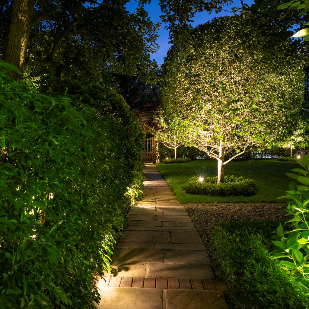 MoonlightDes's tweet image. Low-level fittings, hidden within the hedge, keep the illumination strictly to the ground, reducing glare. Not only helps with navigation but also adds beauty to the garden.
Photo by @joanna_kossak 

#lightingdesign #pathlighting