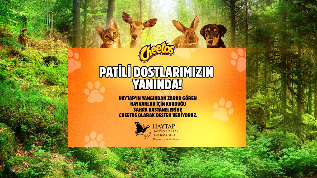 HAYTAP'ın bir süredir devam eden yangınlardan zarar gören hayvanlar için kurduğu sahra yaşam hastanelerine Cheetos olarak destek veriyoruz. #CheetoslaPatilereDestek