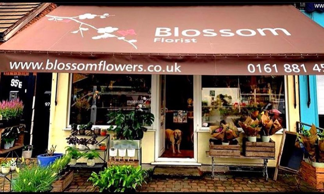 JP & Brimelow Estate Agents tweet media