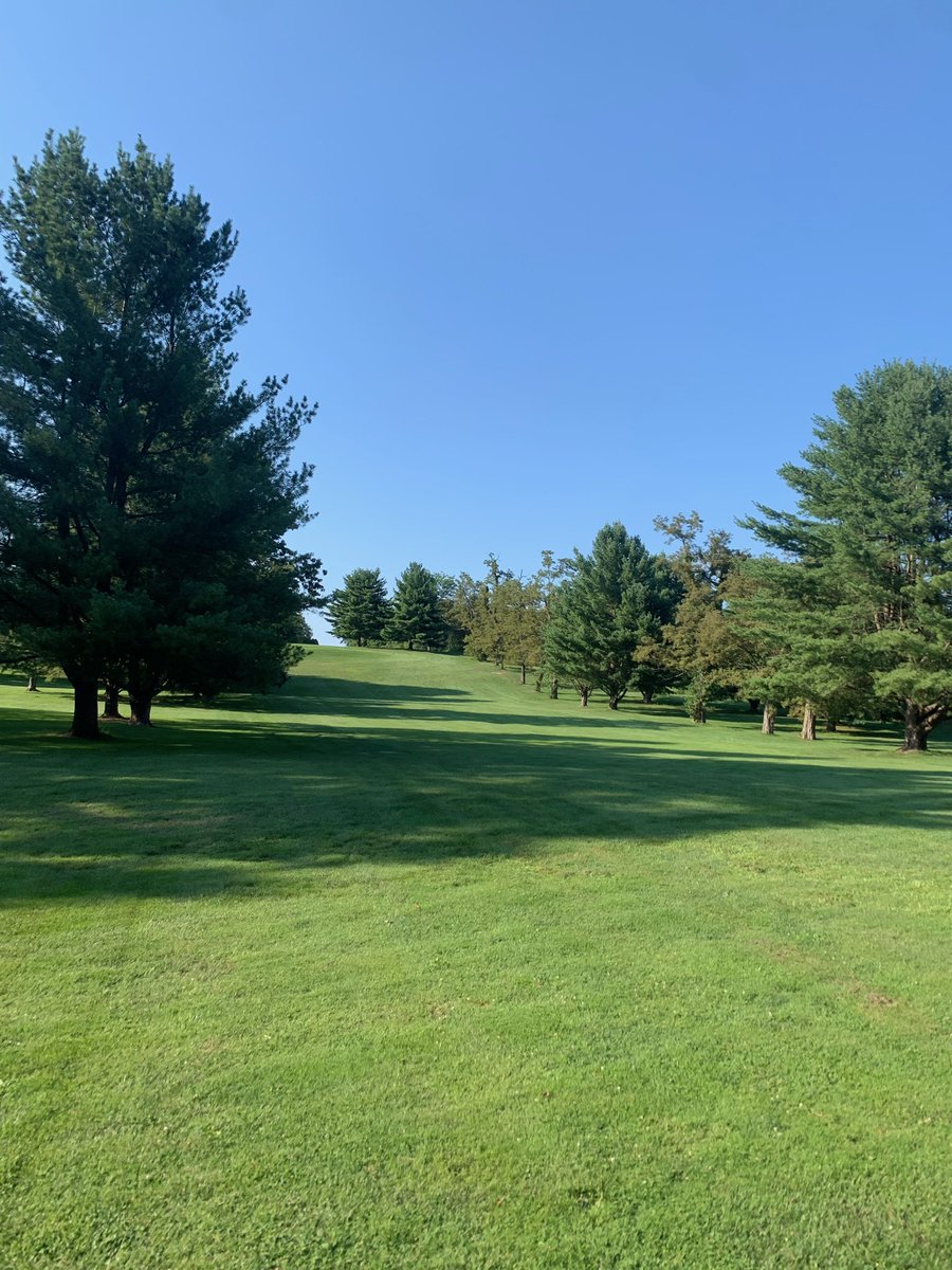 NATTYCHAMP21's tweet photo. 16 the final hole of The Amishman’s Apes Crick.  From an elevated tee you must navigate a chute with a limb directly through the center toward a 19 yard wide fwy.  The approach is a half wedge to a 10 yd x 10 yd two tiered green including a false front on the left side. #Mickey https://t.co/BRnIPfbUMG