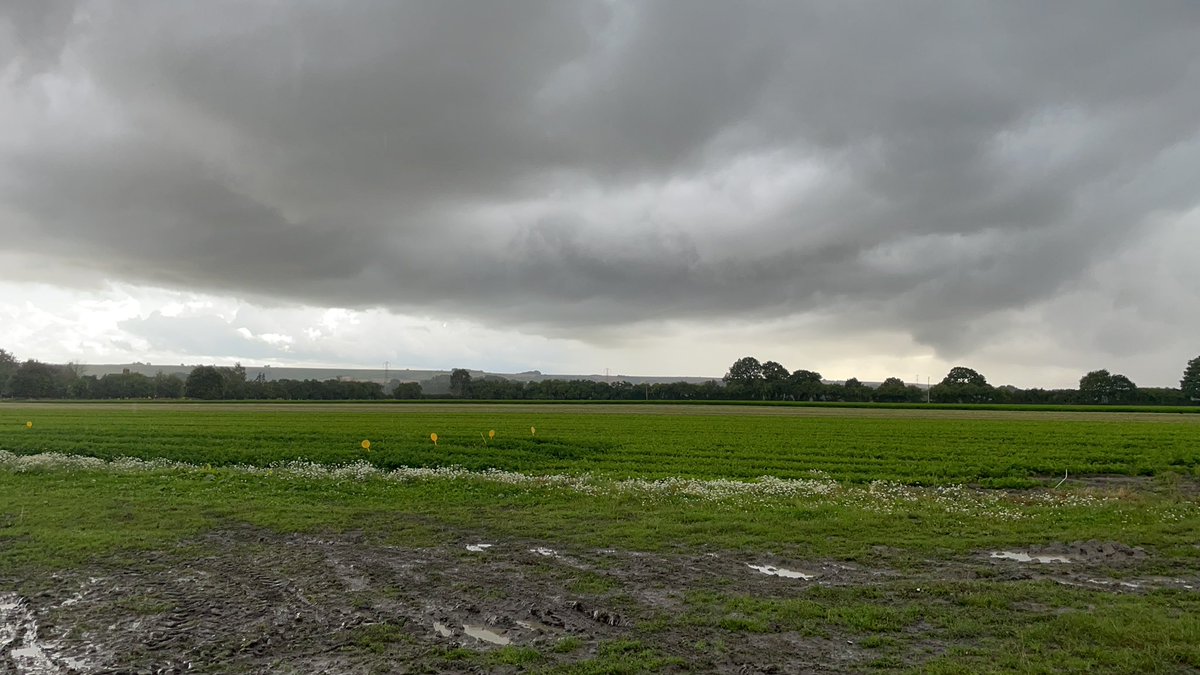Claire Donkin (@clairedonkin) on Twitter photo Assessing British herbs <a href="/BritishGrowers/">British Growers</a> herbicide trials today. The weather knows. #thunderstorm Assessing British herbs <a href="/BritishGrowers/">British Growers</a> herbicide trials today. The weather knows. #thunderstorm