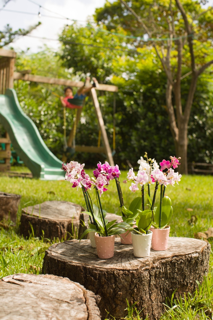 Live for the moment, Laugh with a big smile and love with a full 💙. We hope everyone has an incredible weekend.
  #orchidlover #orchidcollection