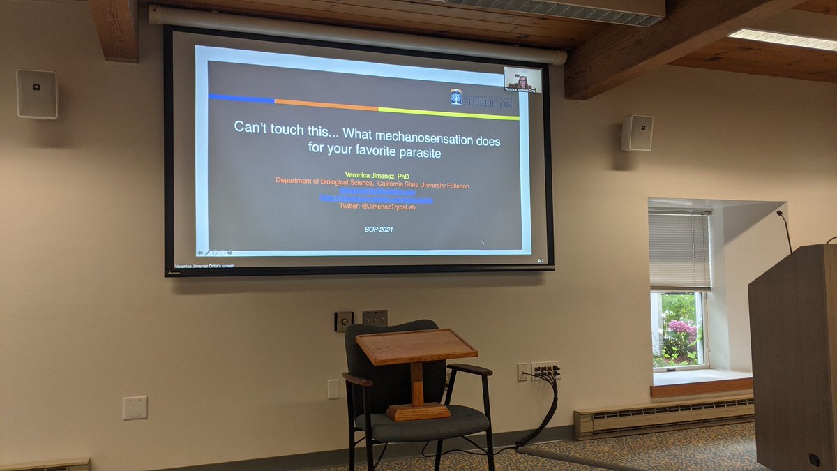 Lexi13's tweet photo. Veronica Jimenez gives a lecture on mechanosensation in #Trypanosoma cruzi. Thanks for a lovely talk and for walking us through motility and those great videos! #parasites #mblbop #bop2021 @JimenezTrypsLab https://t.co/QDIGEWHk2s
