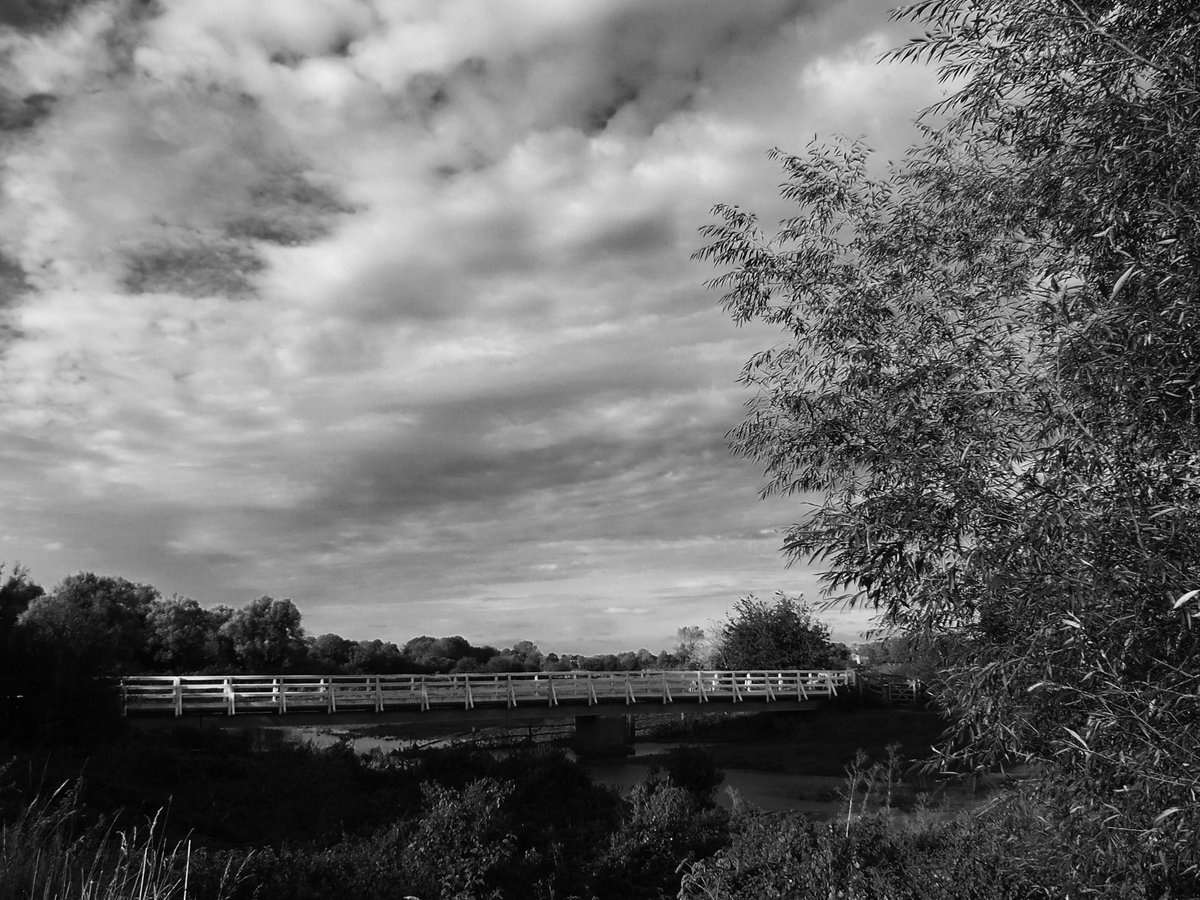 Shelley Turner tweet media